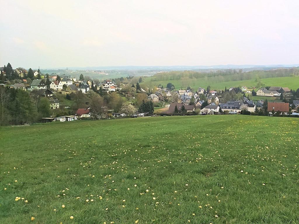 Apartment With Views Of The Ore Mountains Oelsnitz  エクステリア 写真